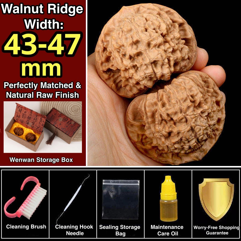 Wang Yong Guanmao Hand-Turning Walnuts| Mindful Stress Relief Pair