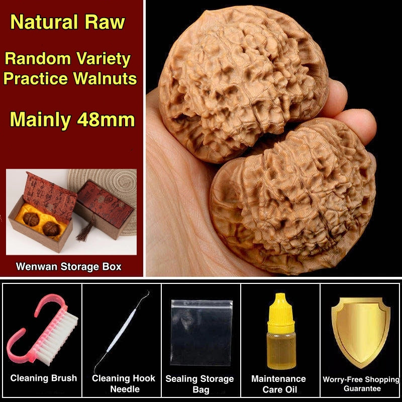 Practice Wenwan Walnut Pair for Beginners | Mindful Stress Relief Pair