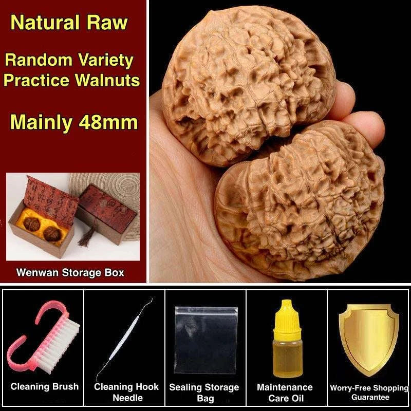 Practice Wenwan Walnut Pair for Beginners | Mindful Stress Relief Pair - Blissette