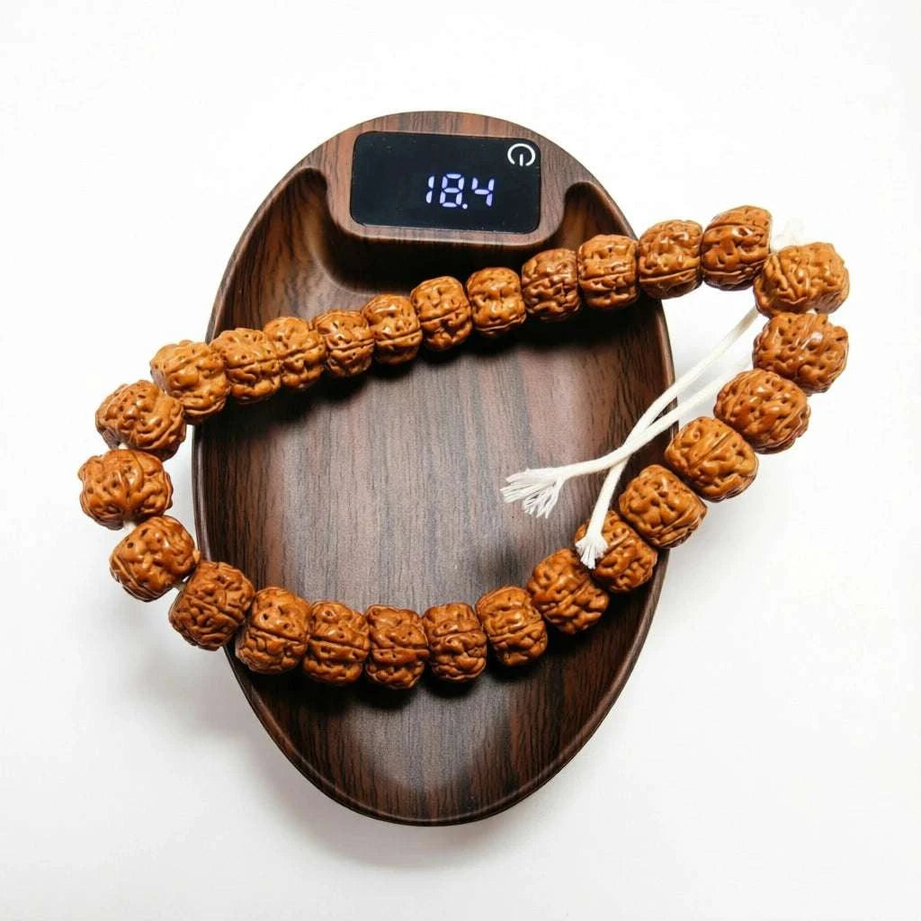 Temple-Inspired Rudraksha Mala Bracelet | Handcrafted for Mindfulness & Inner Peace, 10.5–11mm Beads, 27 Beads - Blissette