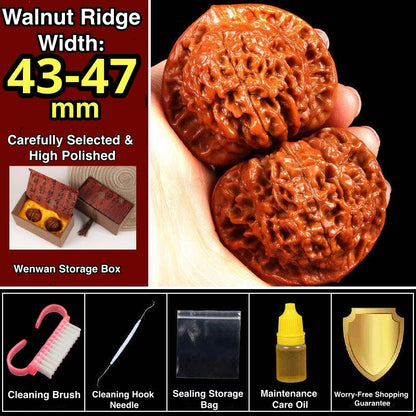 Wang Yong Guanmao Hand-Turning Walnuts| Mindful Stress Relief Pair