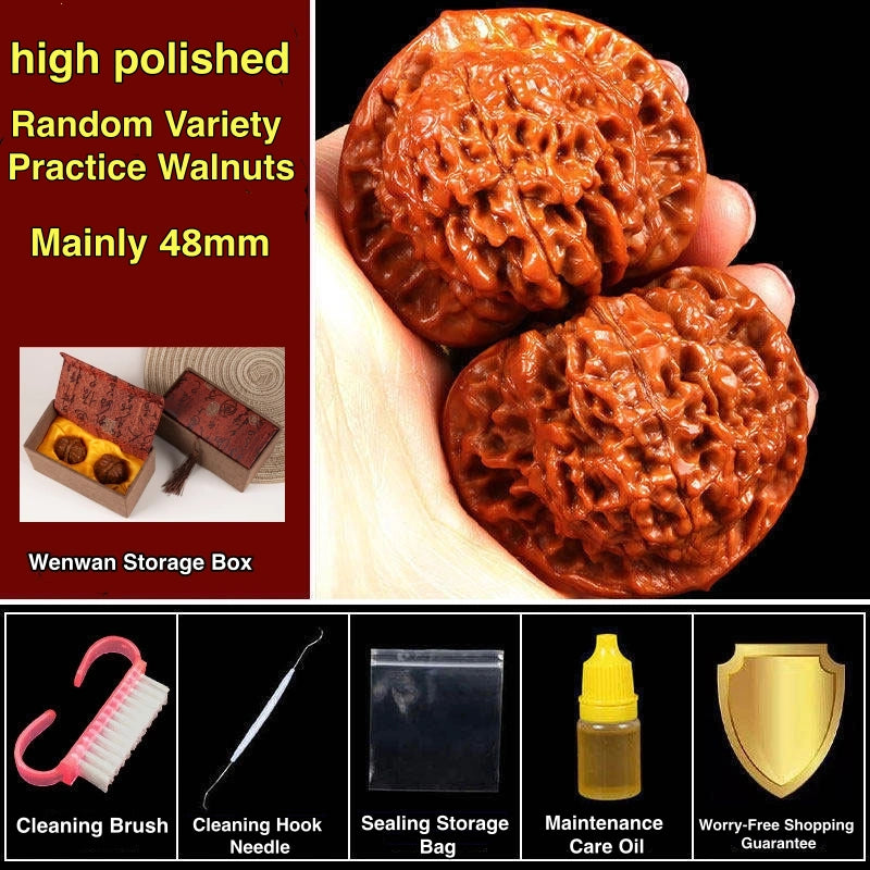 Practice Wenwan Walnut Pair for Beginners | Mindful Stress Relief Pair