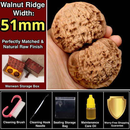 Wang Yong Guanmao Hand-Turning Walnuts| Mindful Stress Relief Pair