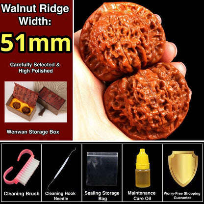 Wang Yong Guanmao Hand-Turning Walnuts| Mindful Stress Relief Pair