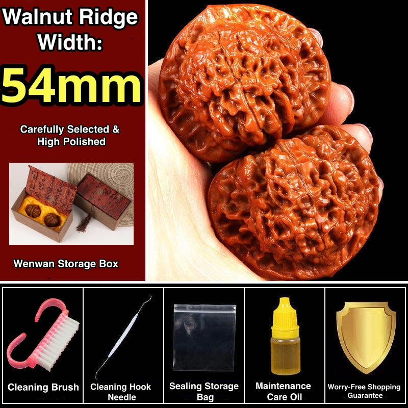 Wang Yong Guanmao Hand-Turning Walnuts| Mindful Stress Relief Pair
