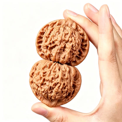 Wang Yong Guanmao Hand-Turning Walnuts| Mindful Stress Relief Pair