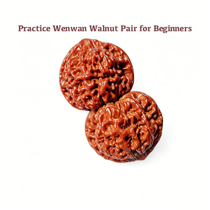 Practice Wenwan Walnut Pair for Beginners | Mindful Stress Relief Pair