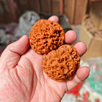 Practice Wenwan Walnut Pair for Beginners | Mindful Stress Relief Pair