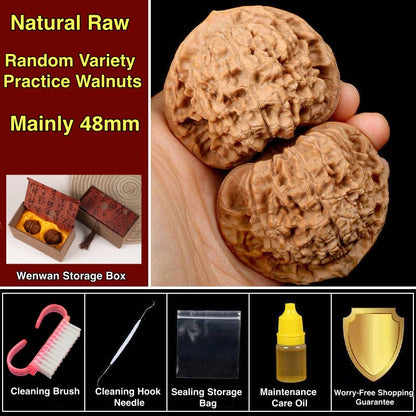 Practice Wenwan Walnut Pair for Beginners | Mindful Stress Relief Pair